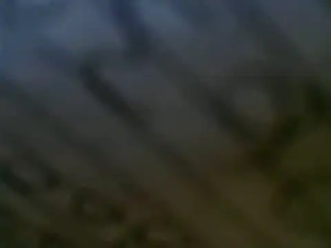 WHITEDAROSE online show from 12, 3, 2025