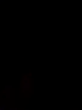 Alanagracia online show from 14, 2, 2025