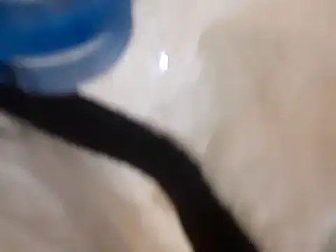 Snapshot of pedrodavid_ chatting on 14, 3, 2025 pedrodavid  online show from 14, 3, 2025