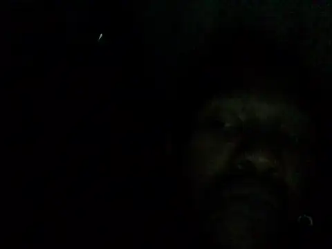 NonhumanButtery online show from 30, 4, 2026