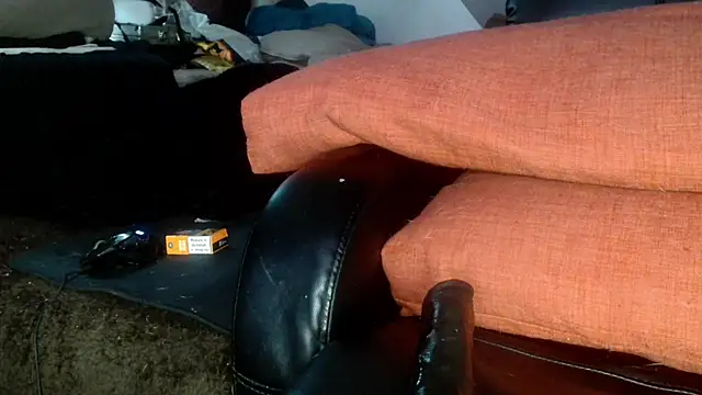 Snapshot of Gigadickman chatting on 18, 12, 2024 Gigadickman online show from 18, 12, 2024