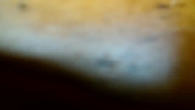 Snapshot of Gigadickman chatting on 9, 2, 2025 Gigadickman online show from 9, 2, 2025