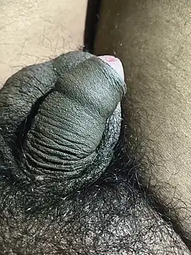 rajrahulovi online show from 14, 2, 2026