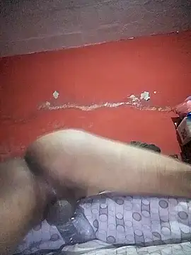 Snapshot of VL25DN26 chatting on 22, 12, 2024 VL25DN26 online show from 22, 12, 2024