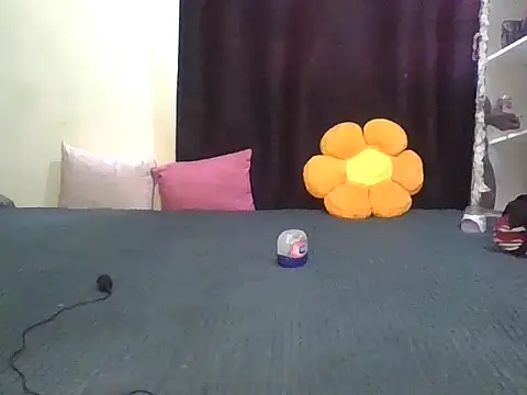 wildnastia online show from 6, 4, 2026