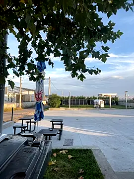 baramadalin online show from 26, 10, 2025