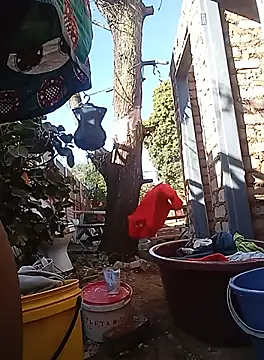 amarrabrown2024 online show from 19, 9, 2025