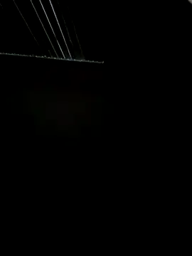 LillShayy online show from 16, 12, 2025