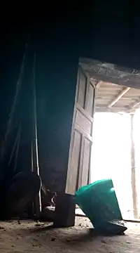 Snapshot of Dina_wet chatting on 8, 12, 2024 Dina wet online show from 8, 12, 2024