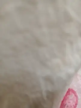 Snapshot of Dina_wet chatting on 21, 1, 2025 Dina wet online show from 21, 1, 2025