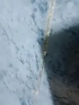 Snapshot of Chancho141414 chatting on 18, 10, 2025 Chancho141414 online show from 18, 10, 2025