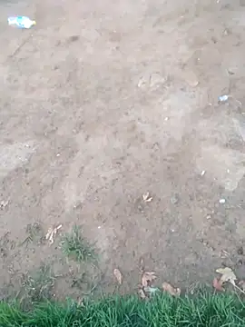 Snapshot of KINGJACKOFF chatting on 26, 12, 2024 KINGJACKOFF online show from 26, 12, 2024