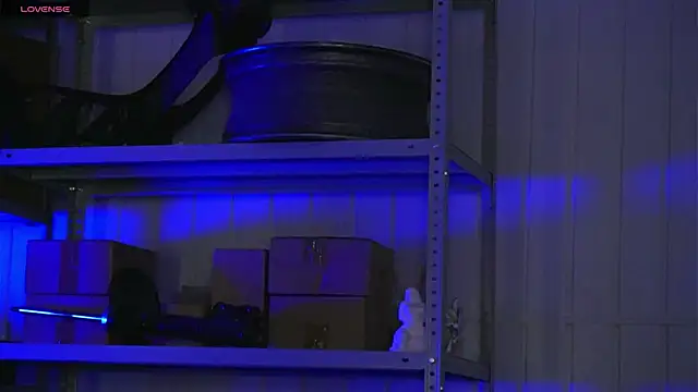 dustyn fox online show from 17, 3, 2026