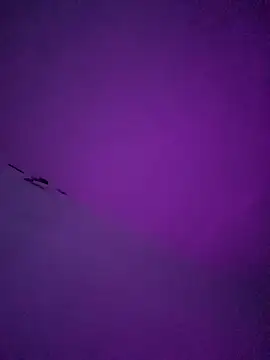 Snapshot of LiosArmando420 chatting on 6, 1, 2026 LiosArmando420 online show from 6, 1, 2026