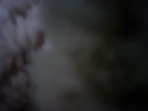 Snapshot of 07YUKIO chatting on 24, 1, 2025 07YUKIO online show from 24, 1, 2025