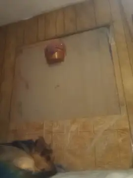 luke thighwalker2469 online show from 15, 2, 2025