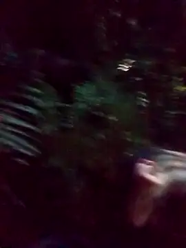 mis312 online show from 5, 3, 2025