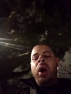 mis312 online show from 24, 4, 2026