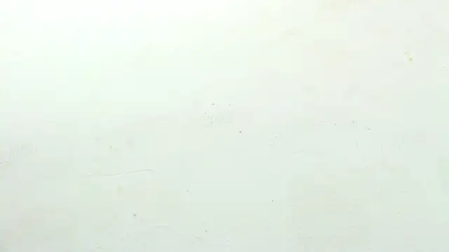 sinay024 online show from 27, 2, 2026