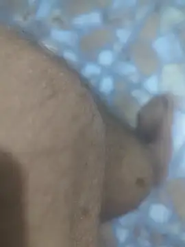 Sunnyboy7897 online show from 9, 3, 2026