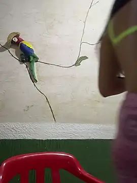 Snapshot of Karla-sexy01 chatting on 4, 1, 2025 Karla-sexy01 online show from 4, 1, 2025