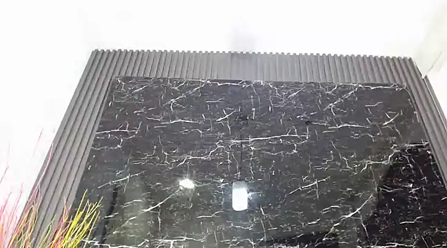 Snapshot of NalaRoy chatting on 10, 12, 2024 NalaRoy online show from 10, 12, 2024