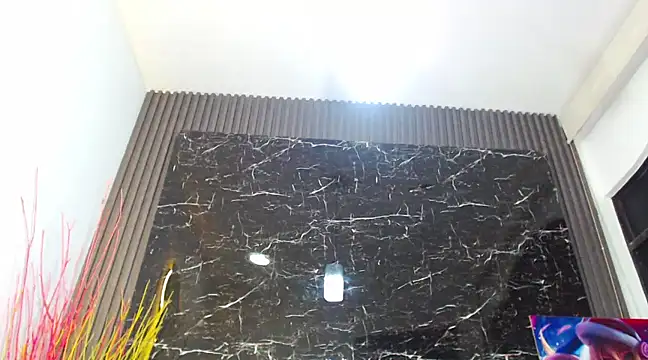 Snapshot of NalaRoy chatting on 15, 12, 2024 NalaRoy online show from 15, 12, 2024