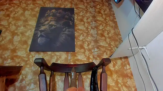 Aniilethebonny online show from 1, 2, 2026