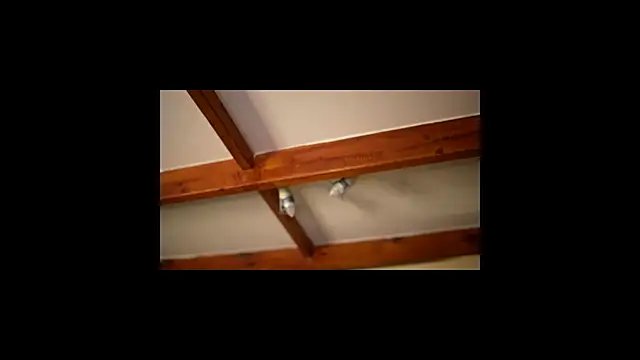 Snapshot of Bellis_Perenis chatting on 26, 2, 2026 Bellis Perenis online show from 26, 2, 2026