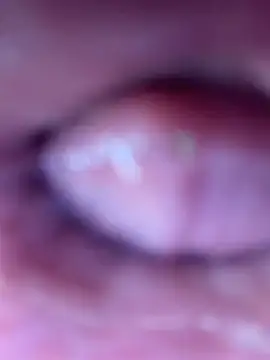 Lola King online show from 29, 5, 2026