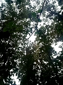 Snapshot of Fucker_boy_1 chatting on 19, 1, 2025 Fucker boy 1 online show from 19, 1, 2025