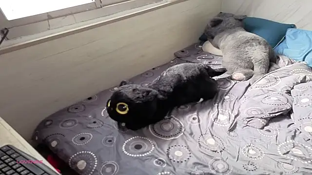 Big19Asia online show from 18, 9, 2025