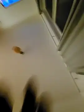 eric69 69 online show from 7, 11, 2025