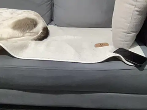 4small4inchlol online show from 15, 3, 2025