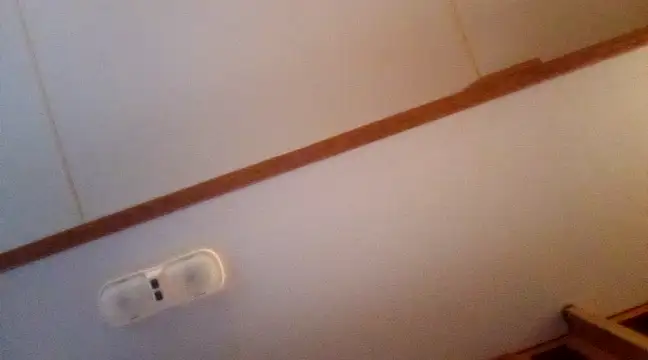 NikkiNFellyy online show from 3, 12, 2024