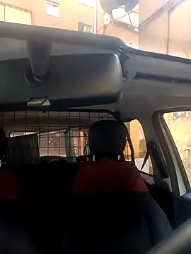 Snapshot of Porco81cazzo chatting on 29, 11, 2025 Porco81cazzo online show from 29, 11, 2025