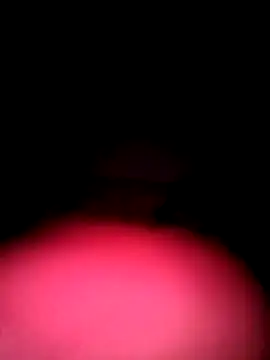 Snapshot of Porco81cazzo chatting on 4, 12, 2025 Porco81cazzo online show from 4, 12, 2025