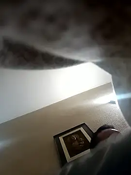 Snapshot of Porco81cazzo chatting on 5, 1, 2026 Porco81cazzo online show from 5, 1, 2026