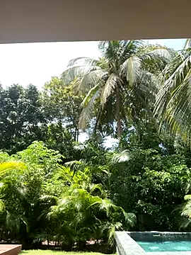 Olivia Collins1 online show from 16, 9, 2025