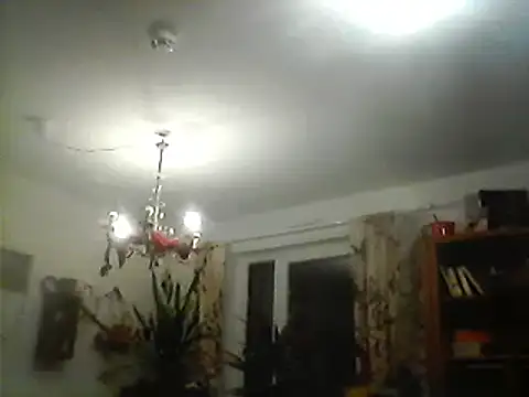 Snapshot of Bigpenis6y chatting on 10, 12, 2024 Bigpenis6y online show from 10, 12, 2024