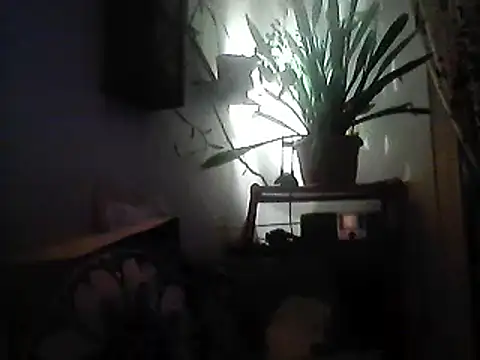 Snapshot of Bigpenis6y chatting on 30, 12, 2024 Bigpenis6y online show from 30, 12, 2024