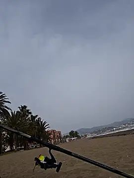 charlye inkkkk online show from 2, 3, 2026