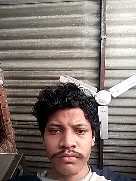 Dreamdaze2025 online show from 5, 4, 2026