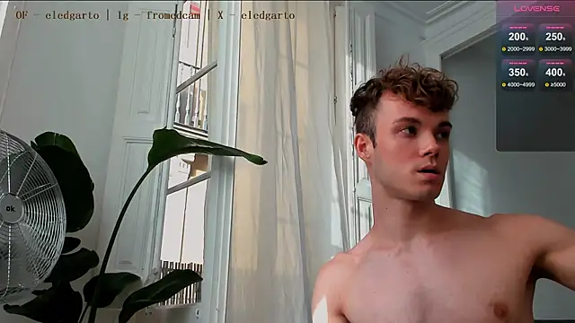 fromed online show from 12, 7, 2026