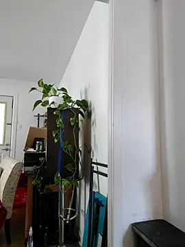 QcMisterv13 online show from 30, 9, 2025