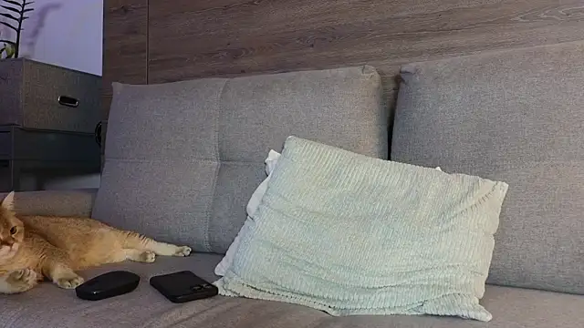 SultryAndrewww online show from 10, 1, 2026