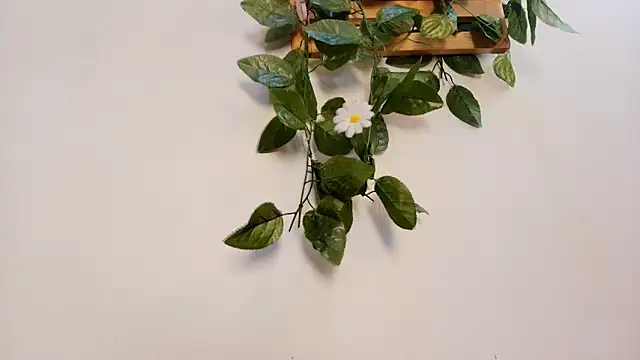 mss samy online show from 13, 2, 2026