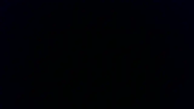 Kashtanka  online show from 8, 1, 2026