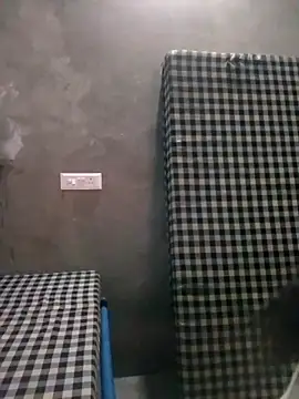 VyingAviary online show from 21, 2, 2025