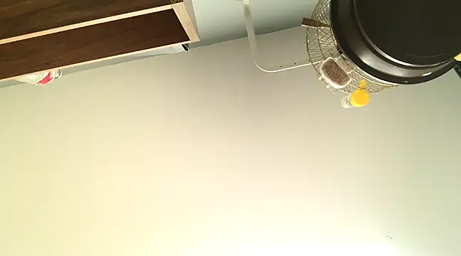 themany29 online show from 27, 1, 2025